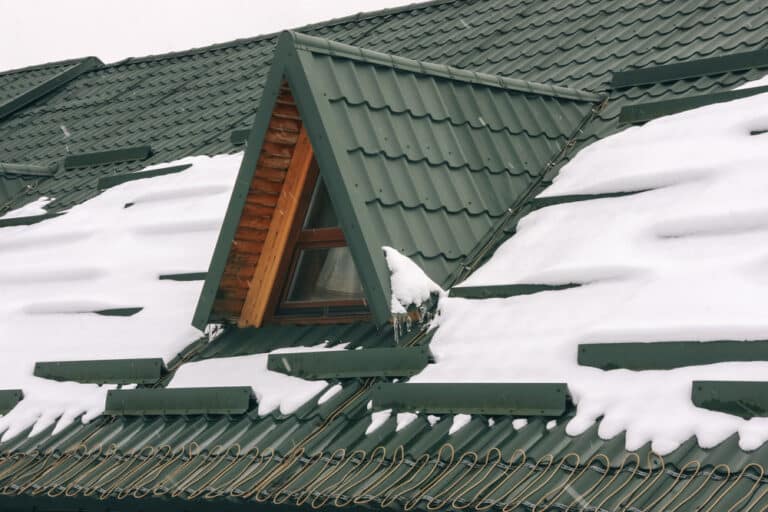 elements snow guard design
