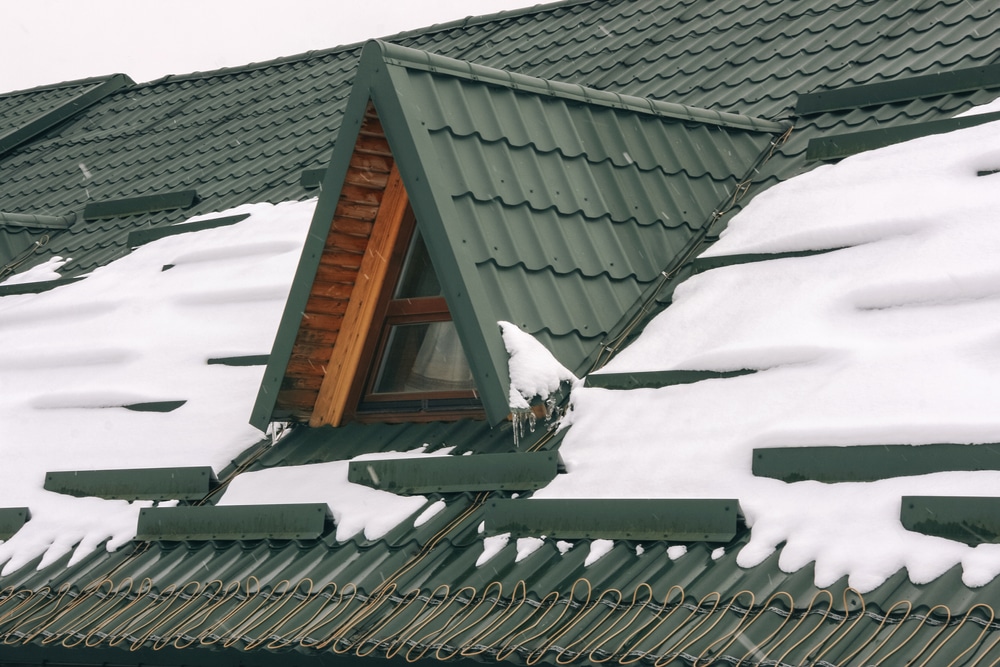 elements snow guard design